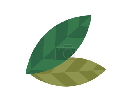 Illustration for Leaves vector illustration. Blooms and blossoms are artistic expressions carefully tended garden Harvesting leaves is mindful process, respecting delicate balance nature Cultivating garden is art - Royalty Free Image