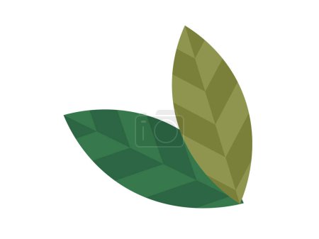 Illustration for Leaves vector illustration. In botanical realm, leaves and foliage symbolize very essence life Growing garden is journey exploration into intricate world leaves Leaves grow gracefully, weaving vibrant - Royalty Free Image