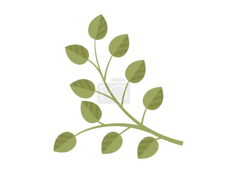 Illustration for Leaves vector illustration. In realm botany, leaves and foliage embody very essence life Growing garden instills deep appreciation for intricate world leaves Leaves grow and intertwine, creating lush - Royalty Free Image