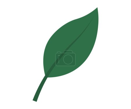 Illustration for Leaves vector illustration. In botanical realm, leaves and foliage symbolize very essence life Growing garden is journey exploration into intricate world leaves Leaves grow gracefully, intertwining - Royalty Free Image