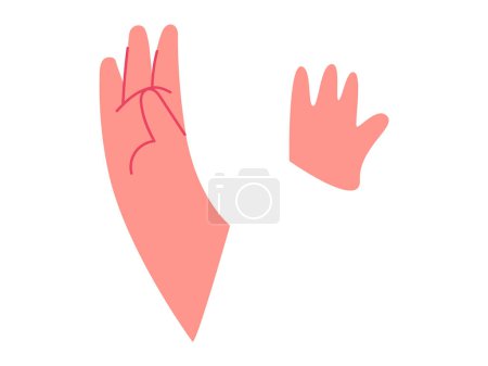Illustration for Body part hands vector illustration. Anatomical position is critical reference point in various medical procedures Educational gestures make complex anatomical concepts accessible to diverse learners - Royalty Free Image