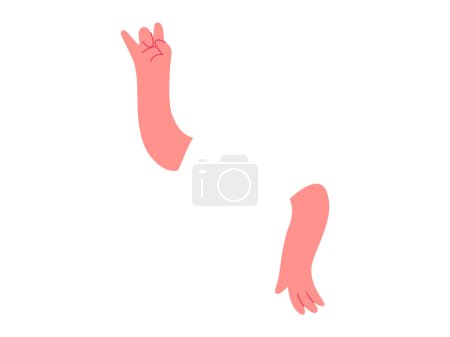 Body part hands vector illustration. Body shape awareness contributes to holistic approach to health and wellness Anatomic understanding is essential for promoting culture preventive healthcare