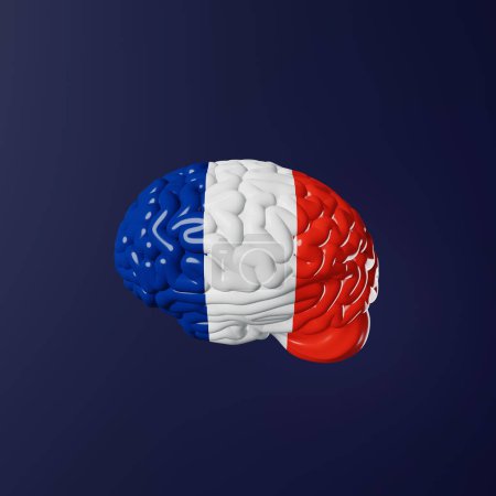Foto de French Learning Foreign language fluency improvement Human brain in France flag colors 3d rendering. Studying Native speakers Memory Online course design education Expressions Idioms Listening Reading - Imagen libre de derechos