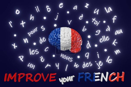 Foto de Improve your French Learning Foreign language fluency improvement Human brain glowing letters articles words idiom 3d render. Studying Native speakers Memory. Online course education Listening Reading - Imagen libre de derechos