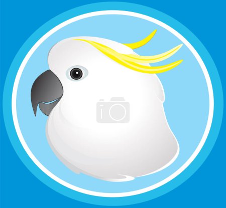 Cockatoo parrot - Velcro birds