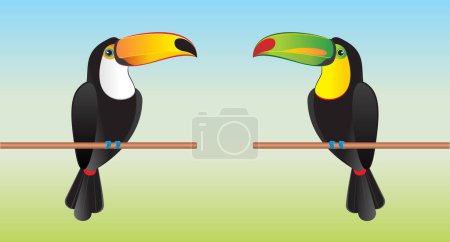 Toucans on a branch