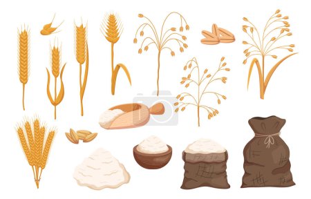 Getreidesorten, Hafer- und Weizensamen und Stacheln, Mehl im Sack, Schüssel und Haufen, Glutenprodukte, rohe Bauernkörner und -stiele isoliert auf weißem Hintergrund. Zeichentrickvektorillustration