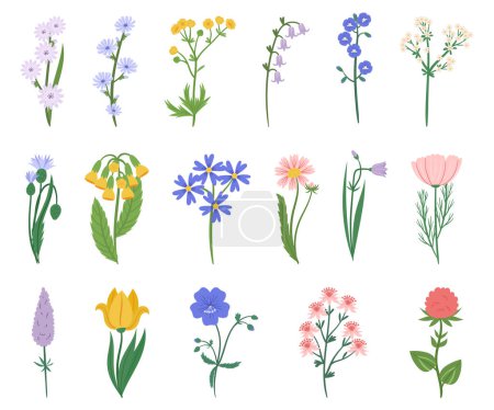 Illustration for Set Of Wildflowers Features A Stunning Array Of Colors, Including Purple, Pink, And Yellow, Wild Flowers Collection, Isolated Elements for Creating Picturesque Landscape. Cartoon Vector Illustration - Royalty Free Image