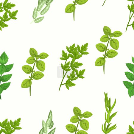 Illustration for Seamless Pattern with Culinary Herbs Consisting Of Various Aromatic Plants Used For Cooking, Such As Basil, Thyme, Rosemary, And Oregano, Mint, Marjoram, Summer Savory. Cartoon Vector Illustration - Royalty Free Image