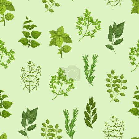 Illustration for Seamless Pattern with Culinary Herbs Basil, Thyme, Rosemary, Parsley, And Oregano, Mint, Cilantro, Sage, Marjoram And Summer Savory. Dill, Bay Leaf And Tarragon. Cartoon Vector Illustration - Royalty Free Image