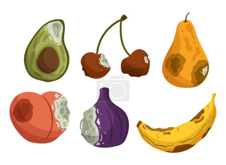 Ilustración de Frutas podridas, aguacate, cereza, pera y plátano con melocotón o higos. Alimentos deteriorados y estropeados que emiten un mal olor y ya no son adecuados para el consumo. Ilustración de vectores de dibujos animados - Imagen libre de derechos