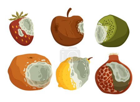 Ilustración de Frutas descompuestas y en descomposición, fresa, manzana, kiwi y naranja, limón y granate que han perdido frescura y se estropean con mal olor y se cubren con moho verde. Ilustración de vectores de dibujos animados - Imagen libre de derechos