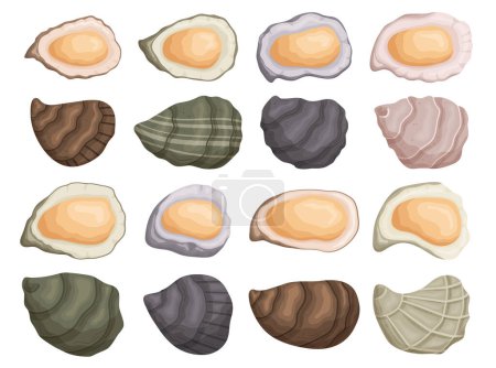 Illustration for Set of the Shellfish, Closed and Open Oyster Shells Are Known For Their Briny Flavor And Smooth Texture. Luxury Meal, Restaurant Seafood Icons Isolated on White Background. Cartoon Vector Illustration - Royalty Free Image