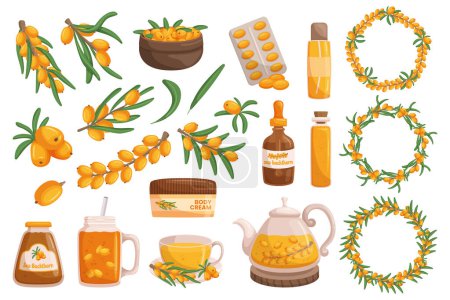Illustration for Sea Buckthorn Products Set. Skincare Essentials, Nourishing Oils, Dietary Supplements For A Holistic Wellness Experience. Tea, Jam, Body Cream, Fresh Berries and Wreaths. Cartoon Vector Illustration - Royalty Free Image