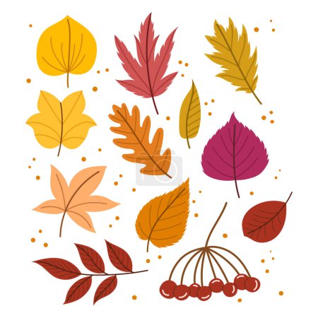 Ilustración de Las hojas de otoño establecen escaparates Transición de la naturaleza con follaje de tonos cálidos. Las hojas rojas, amarillas y anaranjadas oxidadas crean una atmósfera serena, capturando la belleza del otoño. Ilustración de vectores de dibujos animados - Imagen libre de derechos