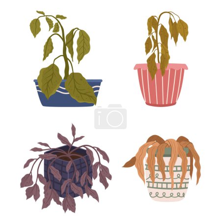 Illustration for Neglected And Drooping, The Wilting Houseplants Sigh In Silent Plea For Water And Care. Once Vibrant, Now Withering, Revive Them With Love And A Splash Of Life. Cartoon Vector Illustration - Royalty Free Image