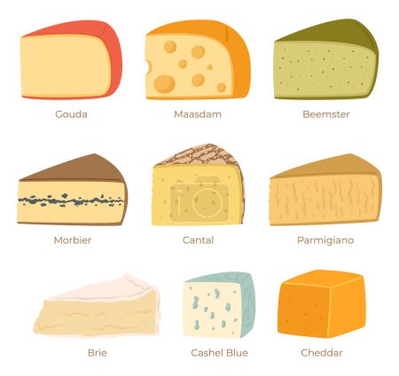 Illustration for Cheese Collection Isolated on White Background. Gouda, Maasdam, Beemster, Morbier And Cantal. Parmigiano, Brie, Cashel Blue and Cheddar Dairy Production. Cartoon Vector Illustration - Royalty Free Image