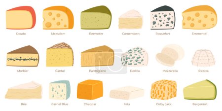 Cheese Collection, Gouda, Maasdam, Beemster or Camembert. Roquefort, Emmental, Morbier or Cantal. Parmigiano, Dorblu, Mozzarella and Ricotta. Brie, Cashel Blue, Cheddar and Feta, Colby Jack, Bergenost
