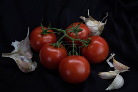 Téléchargez les photos : Tomates et herbes sur fond de pierre noire. - en image libre de droit
