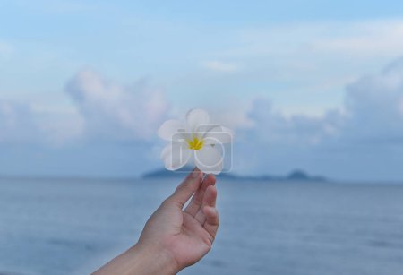 Photo for Plumeria in hand against the backdrop of the sea Calm and relax with the concept of the sea.sky and sea Blue is a beautiful view. - Royalty Free Image