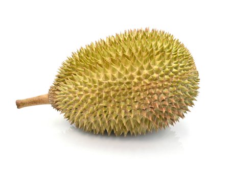 Photo for King of fruits, durian isolated on white background - Royalty Free Image