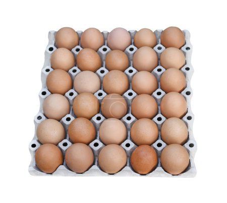 Photo for Top view of fresh chicken eggs in paper box package isolated. - Royalty Free Image