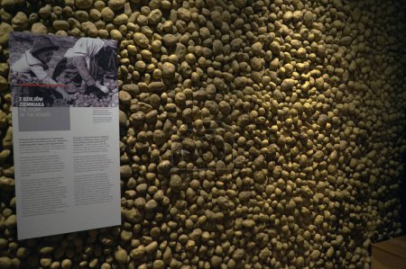 Photo for Potato wall dedicated to the eastern territories of Poland in the Museum of Emigration in Gdynia. - Royalty Free Image