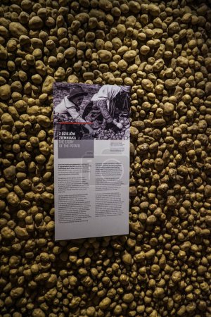Photo for Potato wall dedicated to the eastern territories of Poland in the Museum of Emigration in Gdynia. - Royalty Free Image