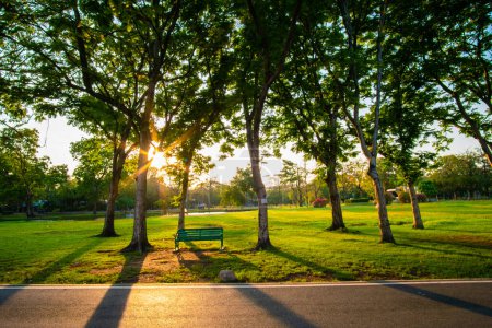 Foto de Pradera de hierba verde con bosque de árboles en el parque de la ciudad contra el cielo azul puesta de sol fondo de la naturaleza - Imagen libre de derechos
