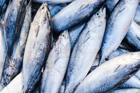 Téléchargez les photos : Thon listao Thon rayé vendu dans l'industrie alimentaire du marché des pêcheurs de fruits de mer - en image libre de droit