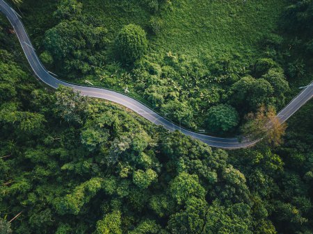 Road in green tropical rain forest with tree aerial view transport in nature