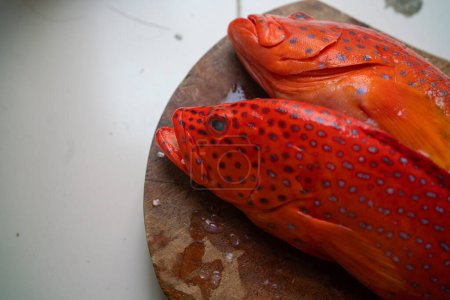 Téléchargez les photos : Truite corail rouge poisson de mer sur cuisine cuisine menu fruits de mer - en image libre de droit