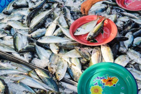 Téléchargez les photos : Thon de mer vente sur le marché de la pêche les gens achètent l'industrie alimentaire du poisson - en image libre de droit