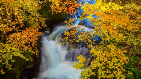 Photo for Nikko is Nippon Ryuzu Waterfall with autumn colorful leaves, Nikko city - Royalty Free Image