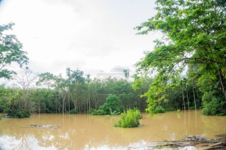 Foto de Agua de inundación en plantaciones rurales, Tailandia - Imagen libre de derechos