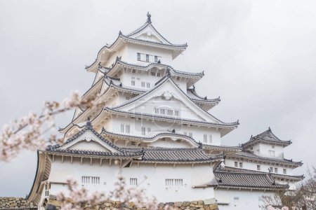 Photo for Himeji castle with sakura blossom, sightseeing in Hyogo city of Japan - Royalty Free Image