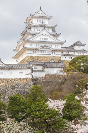 Téléchargez les photos : Himeji château avec fleur de sakura, visite de la ville de Hyogo au Japon - en image libre de droit