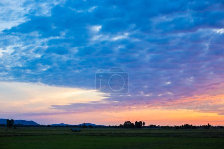Photo for Sunset sky with rice field - Royalty Free Image