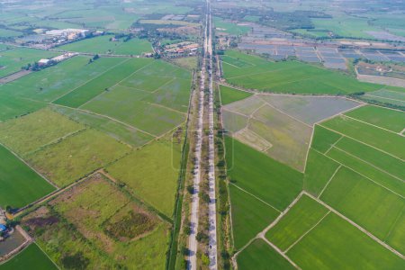 Téléchargez les photos : Vue aérienne de la route rurale avec rizières vertes - en image libre de droit