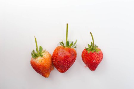 Photo for Fresh strawberries on white background, top view, organic berries - Royalty Free Image
