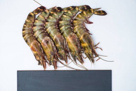 Photo for Tiger prawn seafood shrimp on white background raw shrimp food - Royalty Free Image