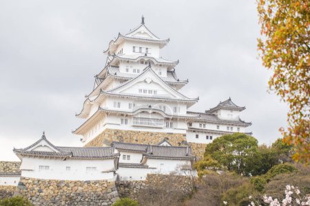 Photo for Blooming pink cherry blossom trees at Himeji Castle winter season in Kansai Kyoto Japan, Himeji Castle has often been touted as one of the top places in Japan to see the Sakura blossoms - Royalty Free Image