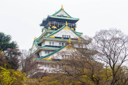 Foto de Castillo de Osaka hermoso templo japonés árboles verdes del bosque de invierno Jardín de Nishinomaru, Japón. - Imagen libre de derechos