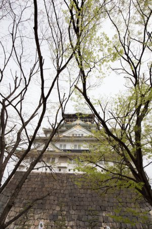 Photo for Osaka Castle beautiful Japanese temple green winter forest trees Nishinomaru Garden, Japan. - Royalty Free Image