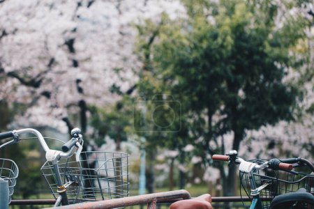 Téléchargez les photos : Parking à vélos dans le parc fleuri de fleurs roses sukura à Tokyo Japon - en image libre de droit