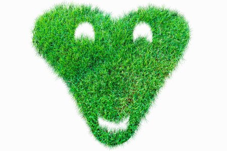 Téléchargez les photos : Nature verte véritable herbe symbole de coeur pour l'amour valentine. isolé sur blanc - en image libre de droit
