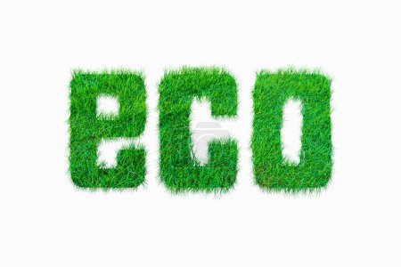 Photo for Nature alphabet letter  ECO from green grass seamless texture on whie - Royalty Free Image