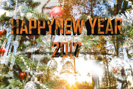 Photo for Happy new year 2017 maple word with pine tree sunrise and christmas decoration on forest trail way mountain - Royalty Free Image