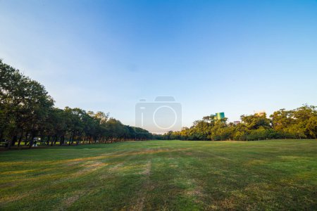 Téléchargez les photos : Beau paysage de coucher de soleil d'été avec des arbres et des champs d'herbe verte - en image libre de droit