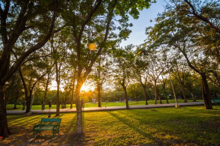 Téléchargez les photos : Banc de parc situé sur un parc verdoyant avec coucher de soleil - en image libre de droit